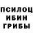 Галлюциногенные грибы Magic Shrooms Sanjay Barman