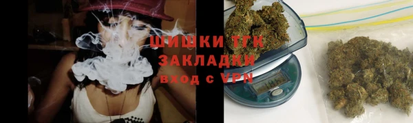 дживик Балахна