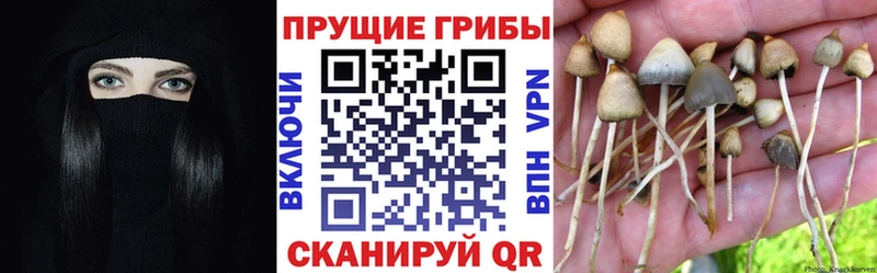 Псилоцибиновые грибы мухоморы  Углегорск 